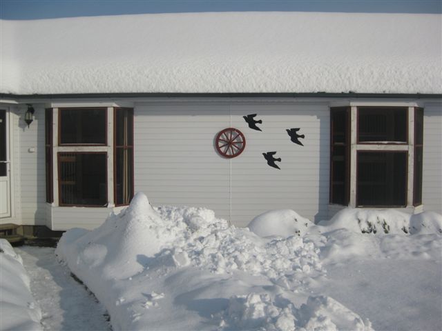 Lave kridlo zima 2010