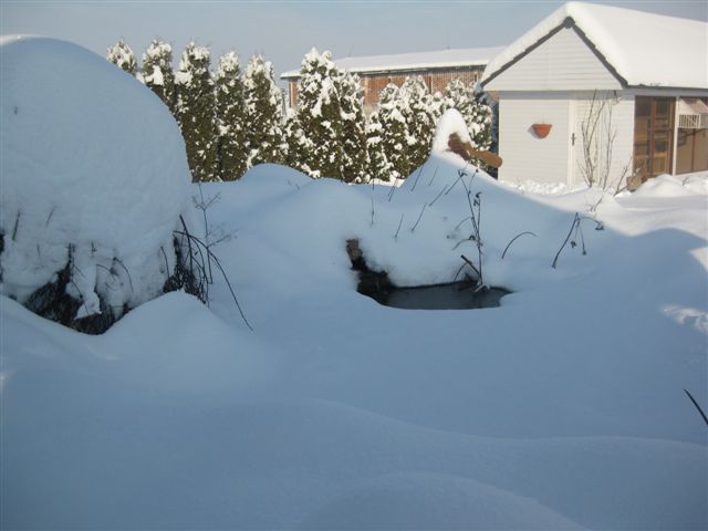 Jazierko zima 2010