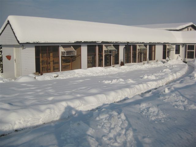 Chovatelske zariadenie zima 2010